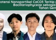 From Sea to Structure: Gagas Riset Beton Berbasis Teritip dan Mikroalga untuk Mitigasi Megathrust, Mahasiswa Unila Lolos Pendanaan PKM-RE 2025
