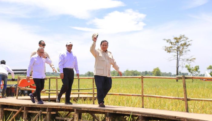 Ketahanan Pangan Indonesia Aman dan Kuat