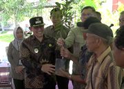 Program ICARE Dukung Kebangkitan Jeruk Sambas, 15 Ribu Bibit Disalurkan