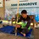 Mahasiswa UNY Tanam Mangrove dan Gelar Aksi Bersih Pantai di Bantul, Dukung Implementasi SDGs 13 & 14