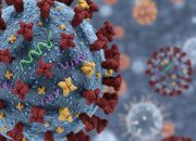 Kemenkes: Influenza A(H3N2) Subclade K Tidak Lebih Berbahaya, Masyarakat Diminta Tenang