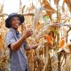 Pemerintah Pastikan Indonesia Capai Swasembada Jagung pada 2026 Tanpa Impor