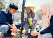 Mendorong Ekonomi Tani Bangkit di Tanah Datar, Mahasiswa Pulihkan Lahan Pascabencana