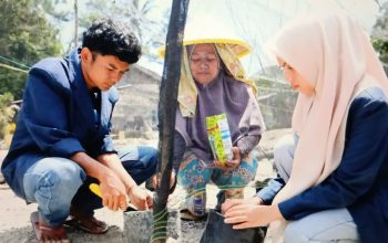 Mendorong Ekonomi Tani Bangkit di Tanah Datar, Mahasiswa Pulihkan Lahan Pascabencana