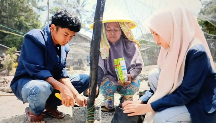 Mendorong Ekonomi Tani Bangkit di Tanah Datar, Mahasiswa Pulihkan Lahan Pascabencana