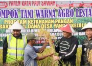 Kementan Pastikan Ketersediaan dan Stok Pangan Nasional Aman