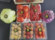 Koperasi Merah Putih di Jawa Barat Tumbuh Signifikan Hingga 6.000