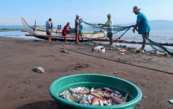 Kabar Baik Bagi Nelayan, Riset BRIN Ungkap Pemicu Melimpahnya Ikan di Selatan Jawa