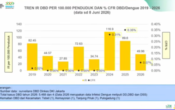 Kampung Bebas Jentik hingga Wolbachia, Strategi Jakarta Tekan Dengue